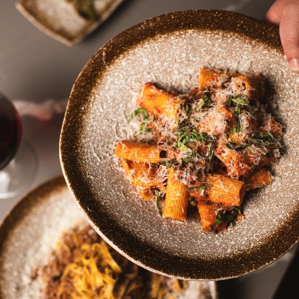 A hand holds a plate of rigatoni pasta with red sauce, parmesan cheese, and herbs.
